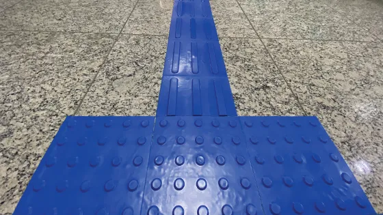 O Compromisso do Grupo Lagge com a Inclusão